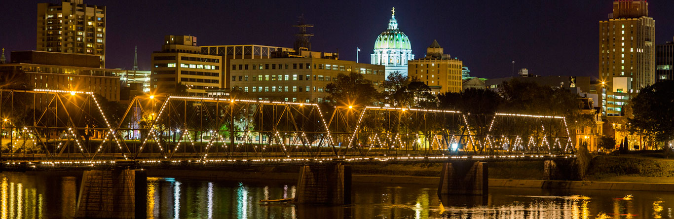 Bridge and city skyline at night